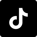 TikTok SMM Services
